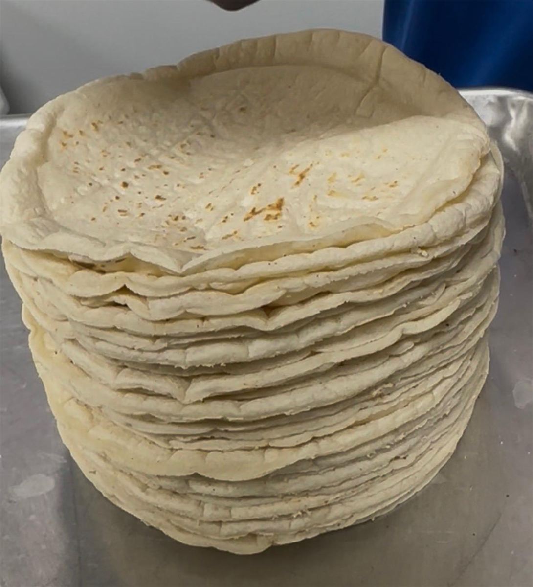 Tortillas de maíz recién hechas